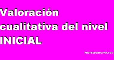 Valoraciones Cualitativas para el Nivel Inicial