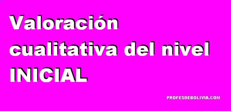 valoracion-cualitativa-nivel-inicial
