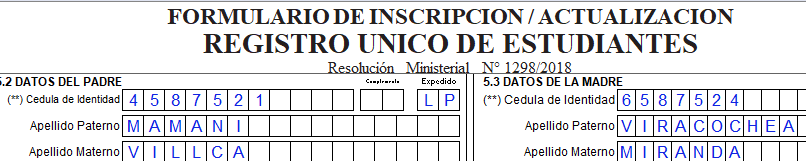RUDE editable en formato Excel 2020