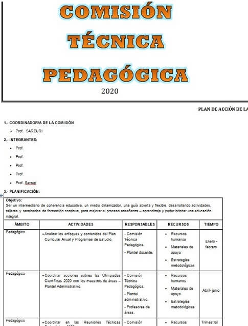 informe anual de la comision pedagogica