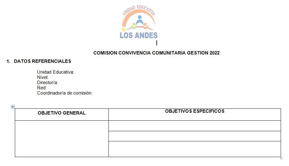 plan de accion comision de trabajo