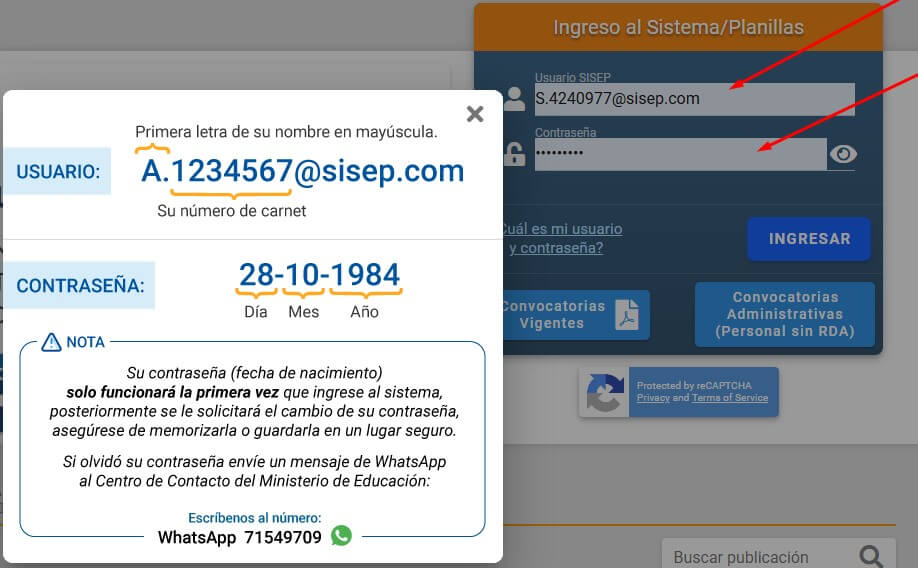 ingreso al SISEP