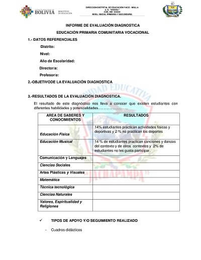 MODELO DE INFORME DIAGNOSTICO