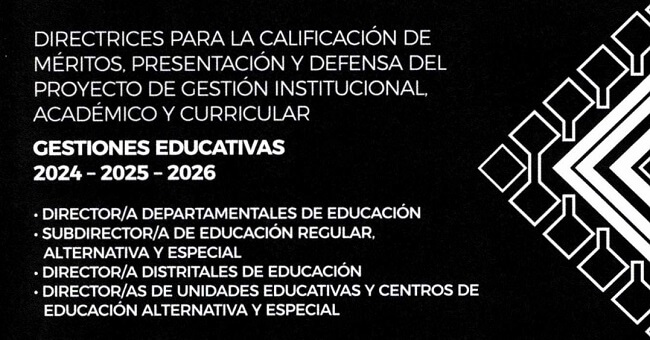 directrices para la calificacion de meritos ionstitucionalizacion