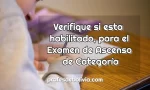 Verificar si está Habilitada/o para el Ascenso de Categoría 【2025】