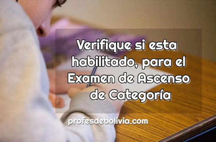 Verificar si esta Habilitado para el Ascenso de Categoría