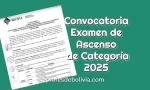 Convocatoria, para el Examen de Ascenso de Categoría【2025】